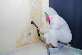 Reliable Laurel Springs, NJ Mold Removal Solutions